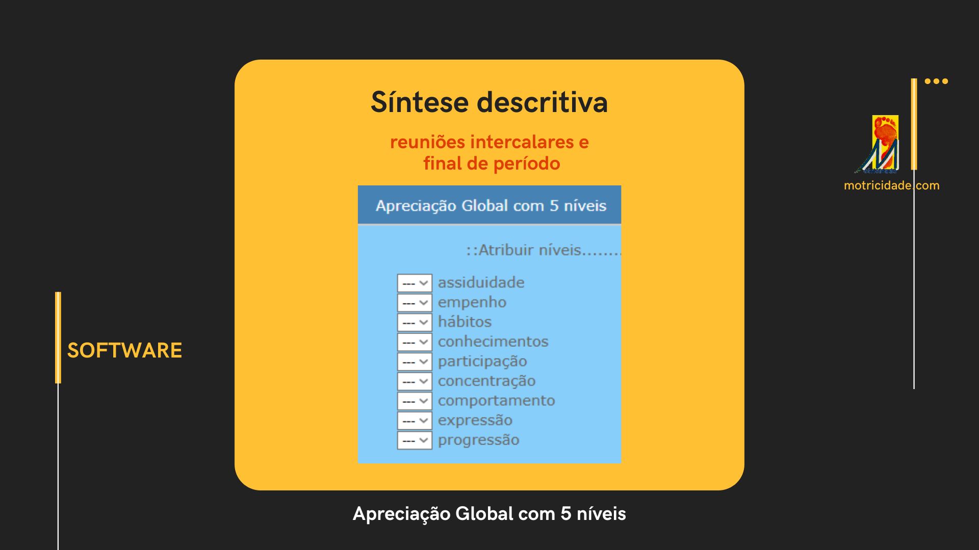 Software: síntese descritiva facilitadora